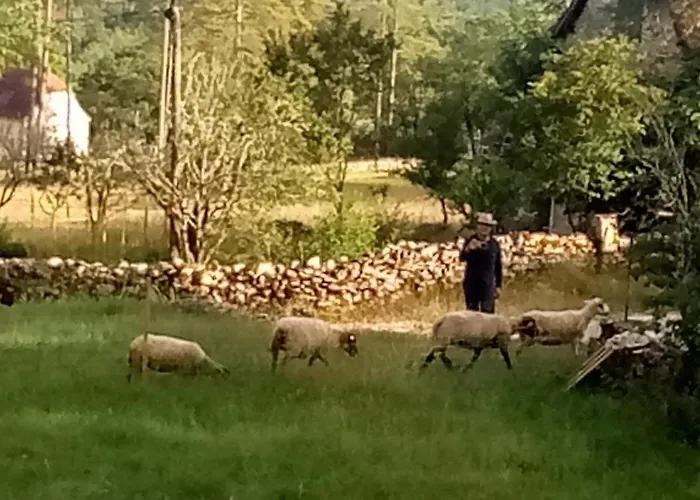 Marmite Et Traversin Bed & Breakfast 3*